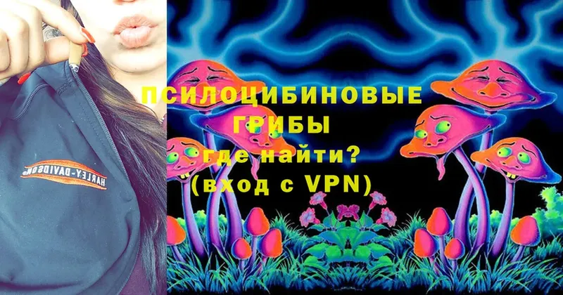 Галлюциногенные грибы Psilocybine cubensis  Новоузенск 